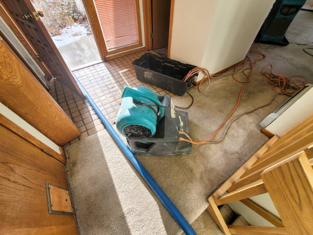 Best Sewage cleanup and water damage restoration  in Pell City, AL