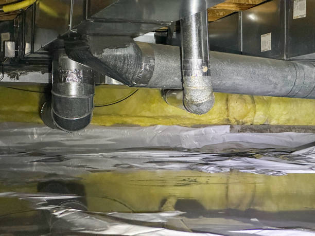 Best Flood restoration services  in Pell City, AL