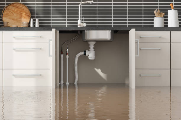 Best Emergency water damage restoration  in Pell City, AL