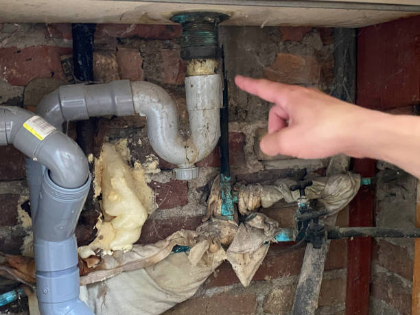 Best Local water damage restoration  in Pell City, AL