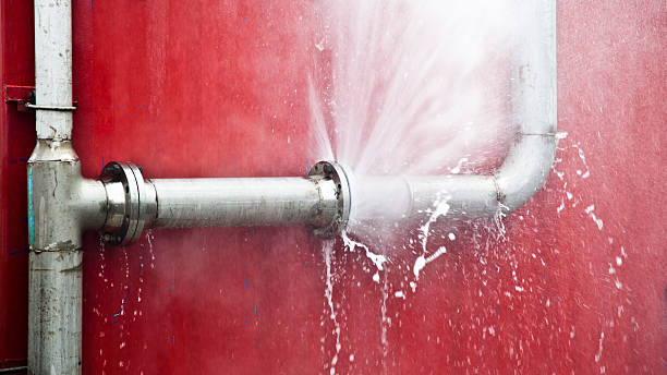 Best Carpet water damage restoration  in Pell City, AL